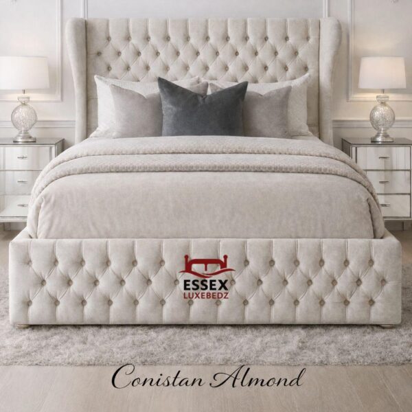 WhatsApp Image 2026-01-27 at 3.42.03 PM (6) WhatsApp Image 2026-01-27 at 3.42.03 PM (6)