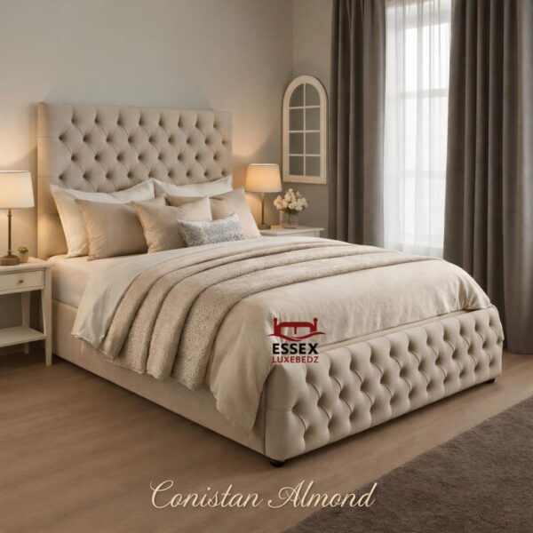 WhatsApp Image 2026-01-29 at 12.44.46 AM