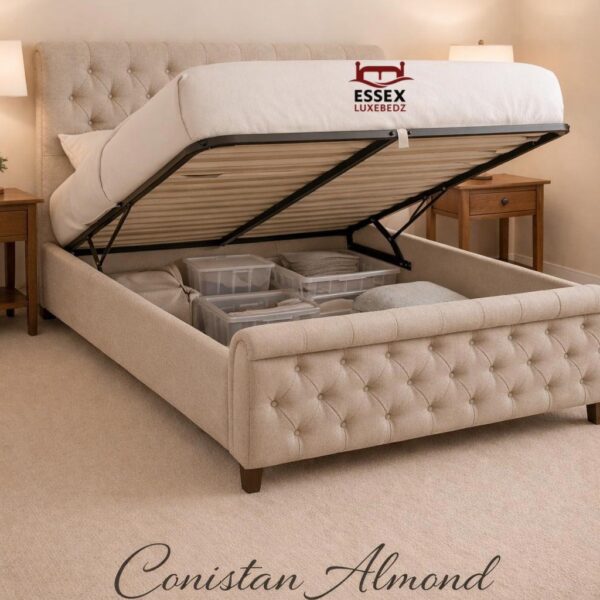 WhatsApp Image 2026-02-02 at 4.25.59 PM (10)