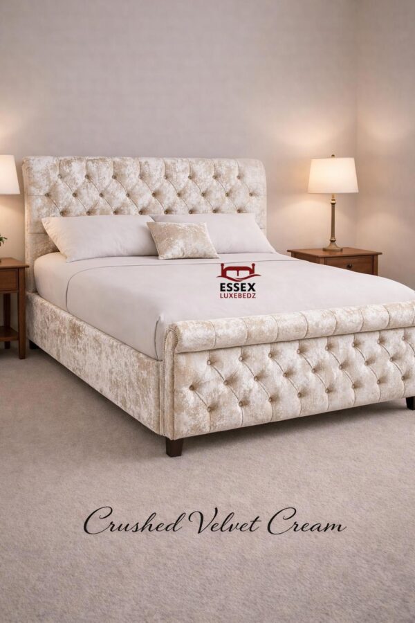 WhatsApp Image 2026-02-02 at 4.25.59 PM (3)