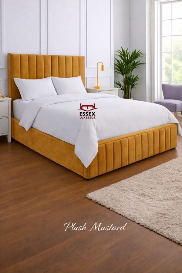 WhatsApp Image 2026-02-02 at 5.00.16 PM (2)