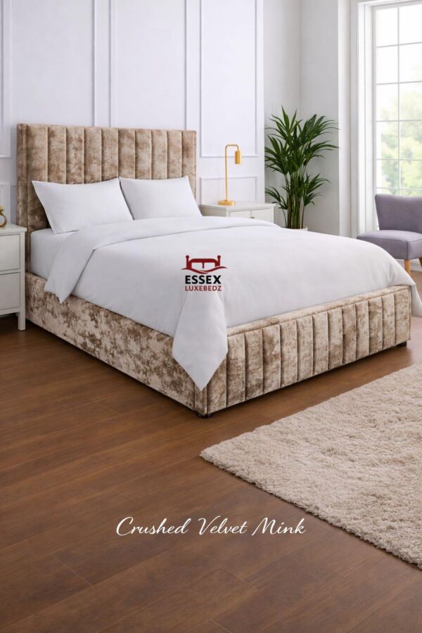 WhatsApp Image 2026-02-02 at 5.00.16 PM (7)