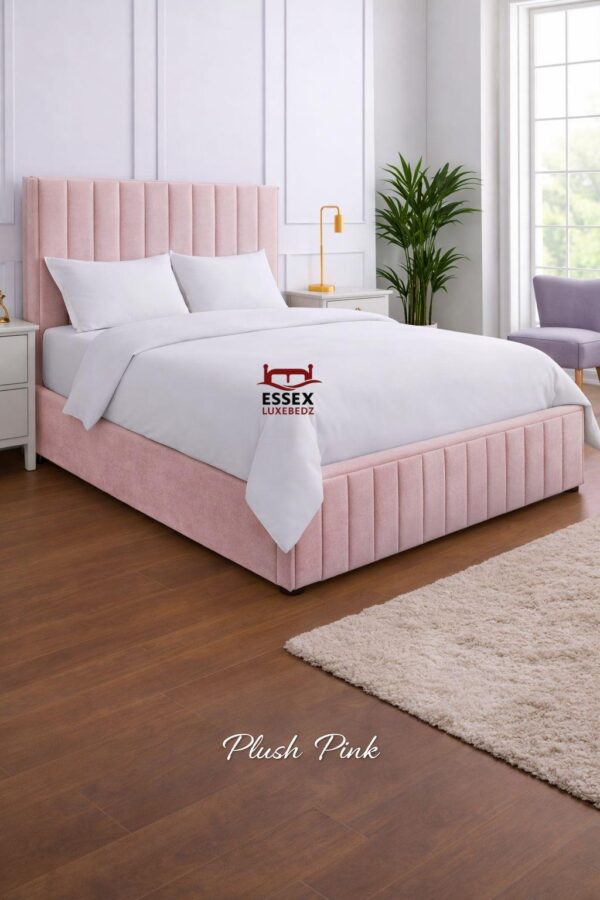 WhatsApp Image 2026-02-02 at 5.00.17 PM (3)