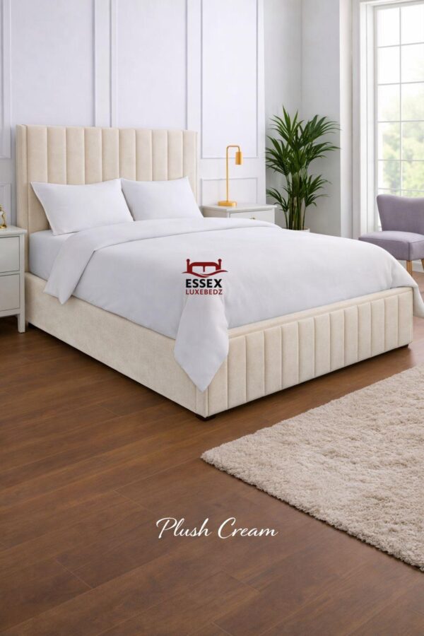 WhatsApp Image 2026-02-02 at 5.00.17 PM (5)