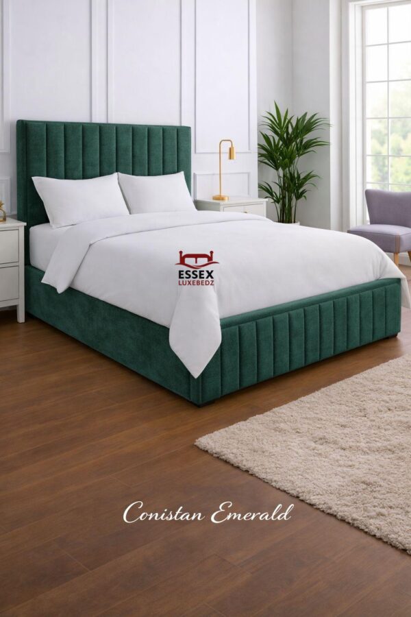 WhatsApp Image 2026-02-02 at 5.00.17 PM (6)