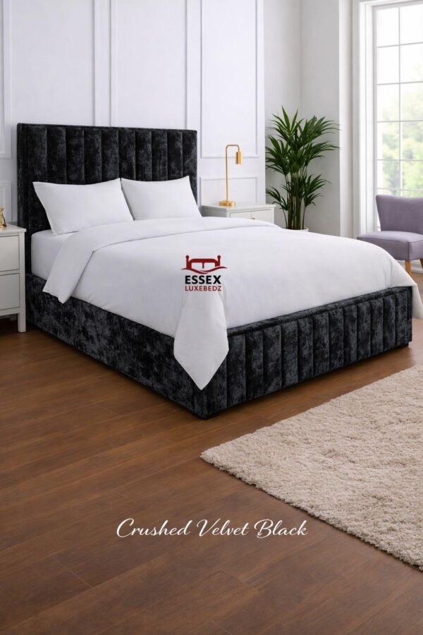 WhatsApp Image 2026-02-02 at 5.00.17 PM