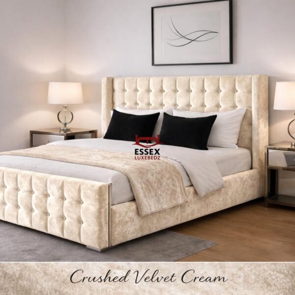 WhatsApp Image 2026-02-03 at 6.43.19 PM (1)