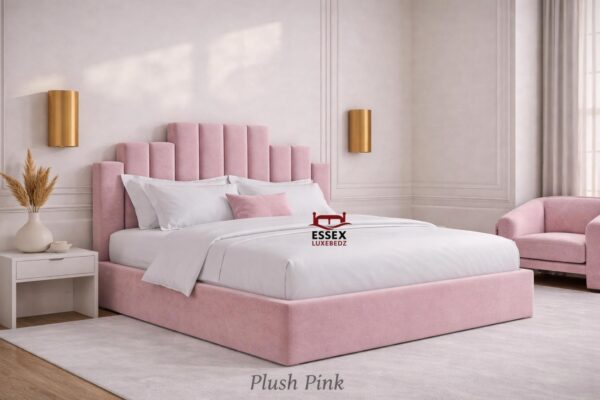 WhatsApp Image 2026-02-05 at 11.44.47 PM