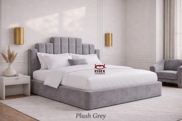 WhatsApp Image 2026-02-05 at 11.44.48 PM (2)