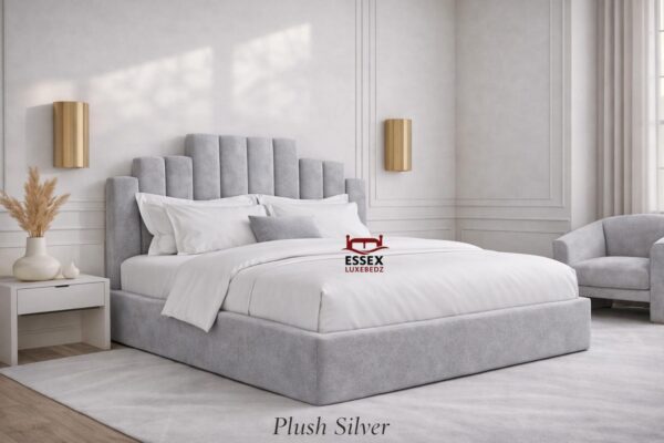 WhatsApp Image 2026-02-05 at 11.44.48 PM