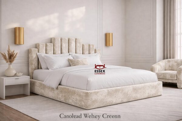 WhatsApp Image 2026-02-05 at 11.44.49 PM